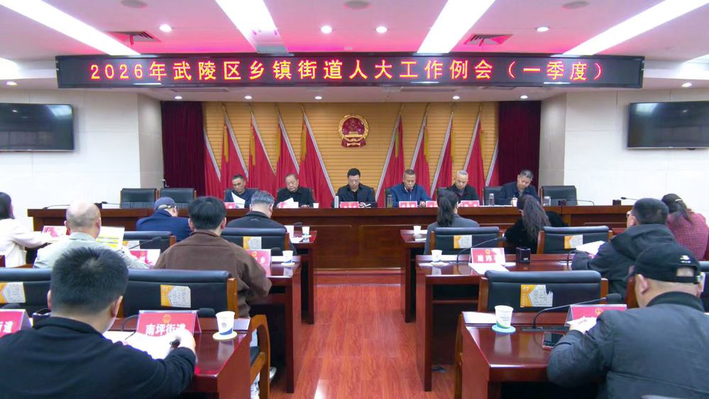 武陵区人大常委会召开2026年第一季度乡镇街道人大工作例会