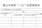 武陵区人大常委会2020年“三公”经费预算公开表